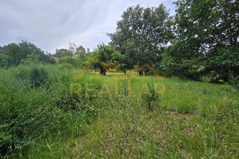 Villa i Arcos de Valdevez, Viana do Castelo, Arcos de Valdevez - € 380.000 | Ref: RL-380-611 - foto 26
