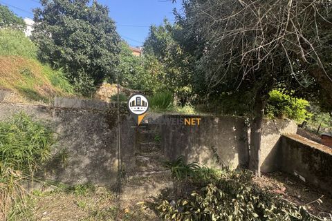 Villa a Castelo Branco, Castelo Branco, Castelo Branco - € 600/mes | Ref: 3000 - foto 4
