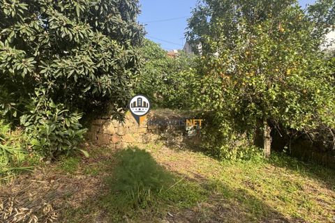 Villa a Castelo Branco, Castelo Branco, Castelo Branco - € 600/mes | Ref: 3000 - foto 5