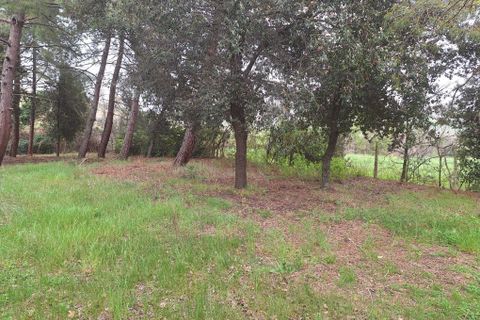 Villa a Corinaldo, Ancona, Corinaldo - € 35.000 | Ref: AN266 - foto 6