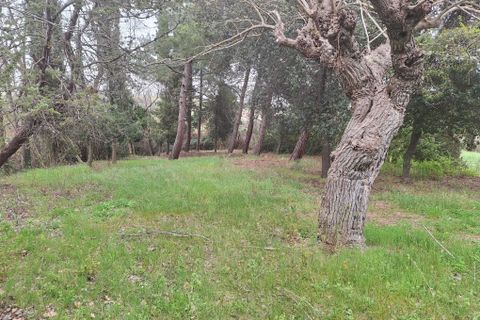 Villa a Corinaldo, Ancona, Corinaldo - € 35.000 | Ref: AN266 - foto 9