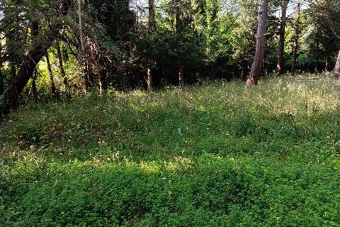 Villa a Corinaldo, Ancona, Corinaldo - € 35.000 | Ref: AN266 - foto 10