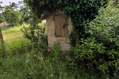 Villa a Corinaldo, Ancona, Corinaldo - € 35.000 | Ref: AN266 - foto 11