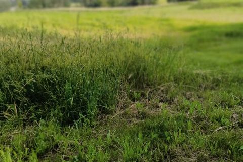 Villa a Corinaldo, Ancona, Corinaldo - € 35.000 | Ref: AN266 - foto 13
