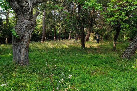 Villa a Corinaldo, Ancona, Corinaldo - € 35.000 | Ref: AN266 - foto 16