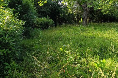 Villa a Corinaldo, Ancona, Corinaldo - € 35.000 | Ref: AN266 - foto 17