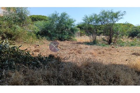 Grond in Albufeira, Faro, Albufeira - € 1.400.000 | Ref: XCV1328 - foto 3