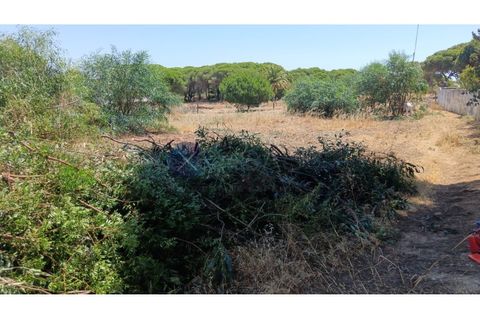 Grond in Albufeira, Faro, Albufeira - € 1.400.000 | Ref: XCV1328 - foto 4