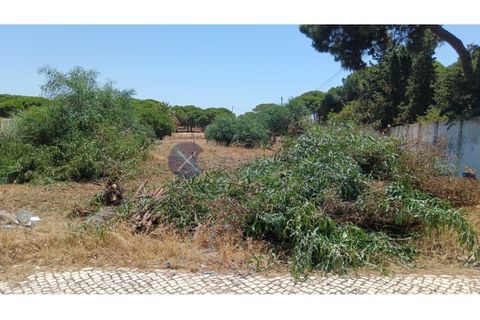 Grond in Albufeira, Faro, Albufeira - € 1.400.000 | Ref: XCV1328 - foto 5