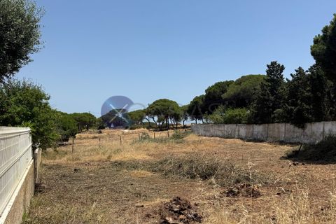 Grond in Albufeira, Faro, Albufeira - € 1.400.000 | Ref: XCV1328 - foto 8