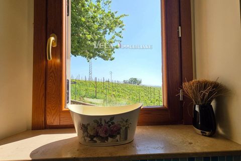 Lejlighed i Campofilone, Fermo, Campofilone - € 390.000 | Ref: 1885 - foto 22