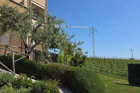Lejlighed i Campofilone, Fermo, Campofilone - € 390.000 | Ref: 1885 - foto 33