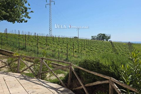 Lejlighed i Campofilone, Fermo, Campofilone - € 390.000 | Ref: 1885 - foto 37