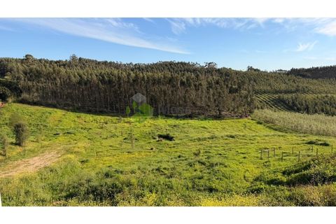 Helårsgrund i Cadaval, Lisbon, Cadaval - € 100.000 | Ref: 1736 - foto 9
