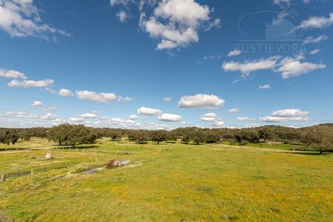 Villa a Arraiolos, Evora, Arraiolos - € 950/mes | Ref: 2530 - foto 40