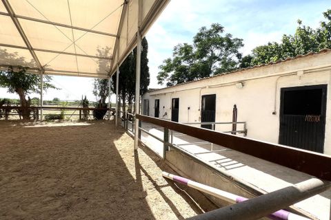 Landejendom i Orihuela, Alicante, Orihuela - € 450.000 | Ref: CSPX-62849 - foto 26