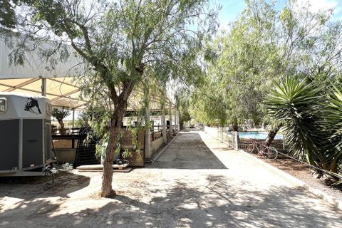 Landejendom i Orihuela, Alicante, Orihuela - € 450.000 | Ref: CSPX-62849 - foto 27