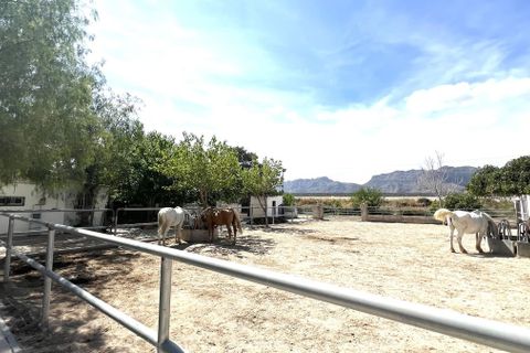 Landejendom i Orihuela, Alicante, Orihuela - € 450.000 | Ref: CSPX-62849 - foto 28