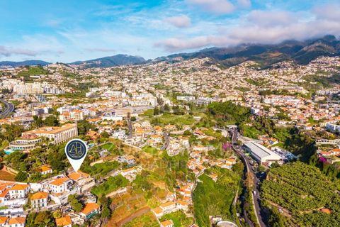 Villa a Funchal, Madeira, Funchal - € 750.000 | Ref: HAB_4 - foto 40