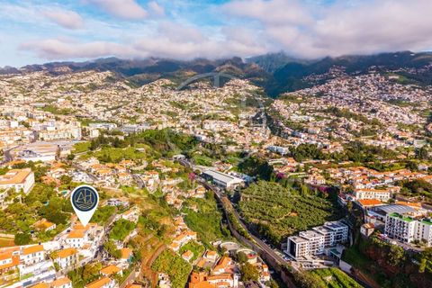 Villa a Funchal, Madeira, Funchal - € 750.000 | Ref: HAB_4 - foto 43