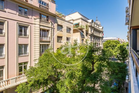 Leilighet i Madrid, Madrid, Madrid - € 2 700 000 | Ref: VM2606046 - foto 35