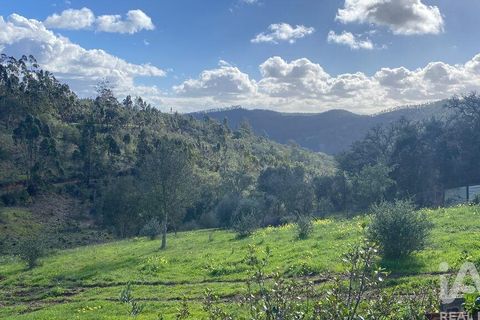 Farm i Odemira, Beja, Odemira - € 2.850.000 | Ref: 867652 - foto 3