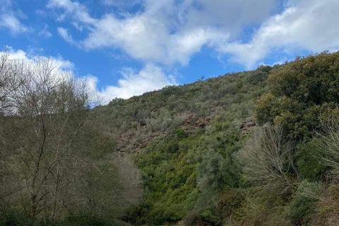Farm i Odemira, Beja, Odemira - € 2.850.000 | Ref: 867652 - foto 4