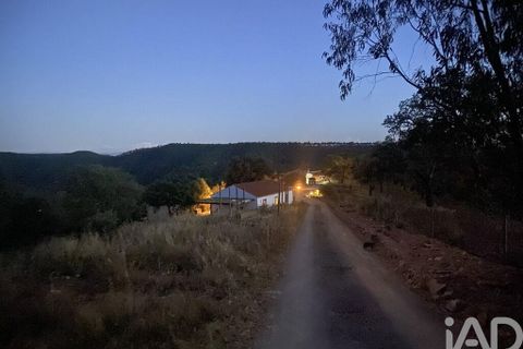 Farm i Odemira, Beja, Odemira - € 2.850.000 | Ref: 867652 - foto 8