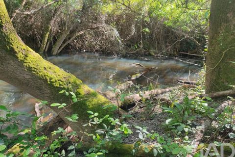 Farm i Odemira, Beja, Odemira - € 2.850.000 | Ref: 867652 - foto 17