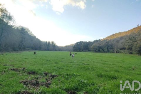 Farm i Odemira, Beja, Odemira - € 2.850.000 | Ref: 867652 - foto 18
