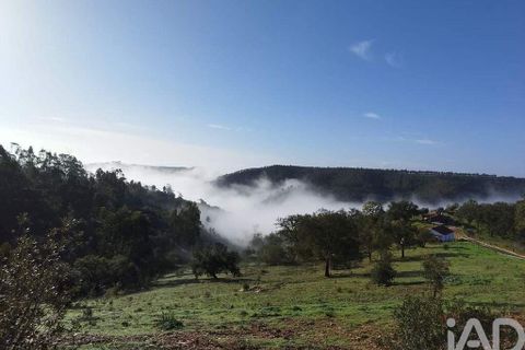 Farm i Odemira, Beja, Odemira - € 2.850.000 | Ref: 867652 - foto 19