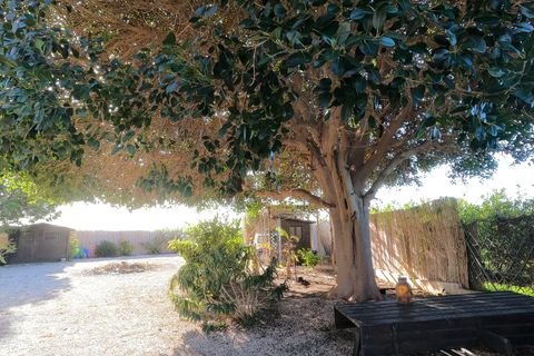 Villa a Orihuela, Alicante, Orihuela - € 375.000 | Ref: R-31577 - foto 23