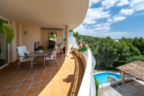 Lejlighed i Bendinat, Mallorca - foto 1