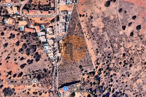 Granja a Castro Marim, Faro, Castro Marim - € 1.230.000 | Ref: SU-CS-QUI-94012 - foto 2