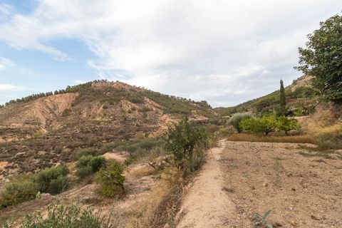 Villa i Pliego, Murcia, Pliego - € 180.000 | Ref: 03102024 - foto 12