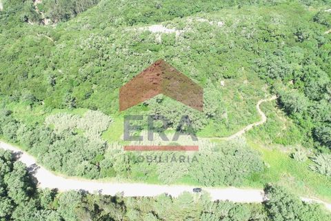 Terra a Ribamar, Lisbon, Ribamar - € 17.500 | Ref: 130260134 - foto 3