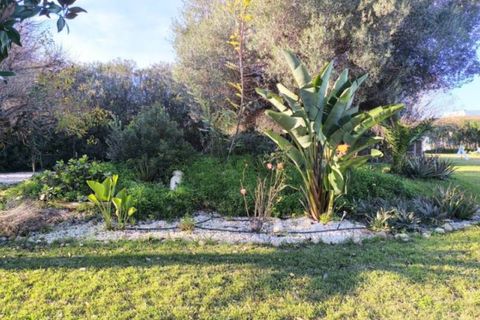 Villa a Ondara, Alicante, Ondara - € 1.400.000 | Ref: 75-61344-15 - foto 4