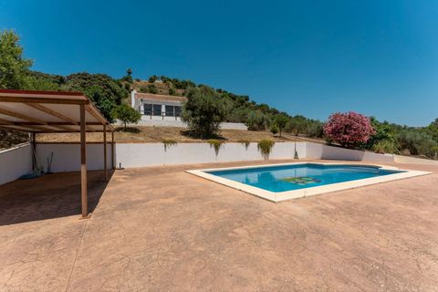 Finca i Monda, Malaga, Monda - € 349.000 | Ref: R5411830 - foto 24