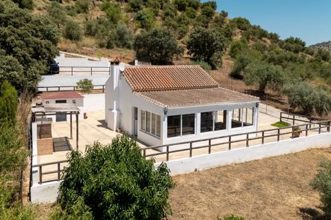 Finca i Monda, Malaga, Monda - € 349.000 | Ref: R5411830 - foto 49