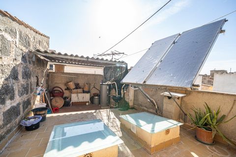 Rækkehus i Petra, Mallorca, Petra - € 309.900 | Ref: 05JRP200RB/3010 - foto 22