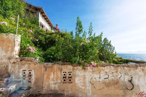 Villa i Alcudia, Mallorca, Alcudia - € 2.400.000 | Ref: 1017 - foto 9