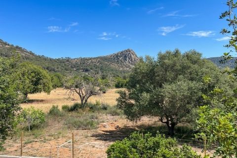 Landejendom i Llucmajor, Mallorca, Llucmajor - € 1.350.000 | Ref: 7823 - foto 18