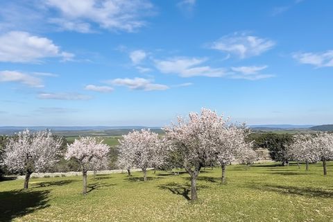 Villa a Sa Cabaneta, Mallorca, Sa Cabaneta - € 1.290.000 | Ref: 7810 - foto 2