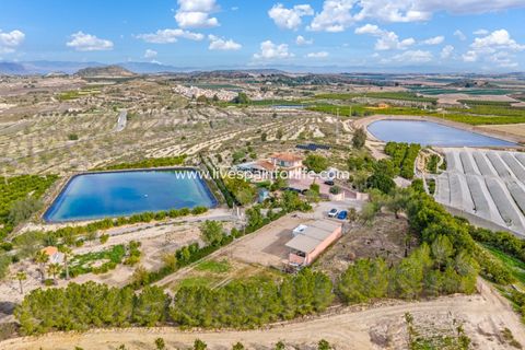 Farm i Torremendo, Alicante, Torremendo - € 999.000 | Ref: Torre BPEq - foto 4