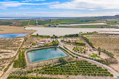 Farm i Torremendo, Alicante, Torremendo - € 999.000 | Ref: Torre BPEq - foto 6