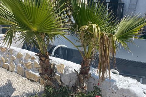 Landsbyhus i Canada Del Trigo, Alicante, Canada Del Trigo - € 149.995 | Ref: RB6569 - foto 2