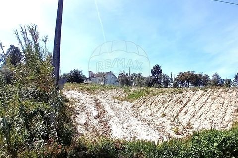 Farm hus i Coruche, Santarem, Coruche - € 179.000 | Ref: 120611246-375 - foto 2