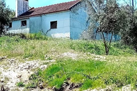 Farm hus i Coruche, Santarem, Coruche - € 179.000 | Ref: 120611246-375 - foto 3