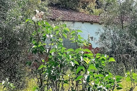 Farm hus i Coruche, Santarem, Coruche - € 179.000 | Ref: 120611246-375 - foto 4