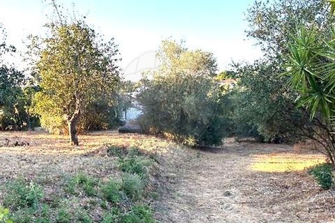 Farm hus i Coruche, Santarem, Coruche - € 179.000 | Ref: 120611246-375 - foto 8